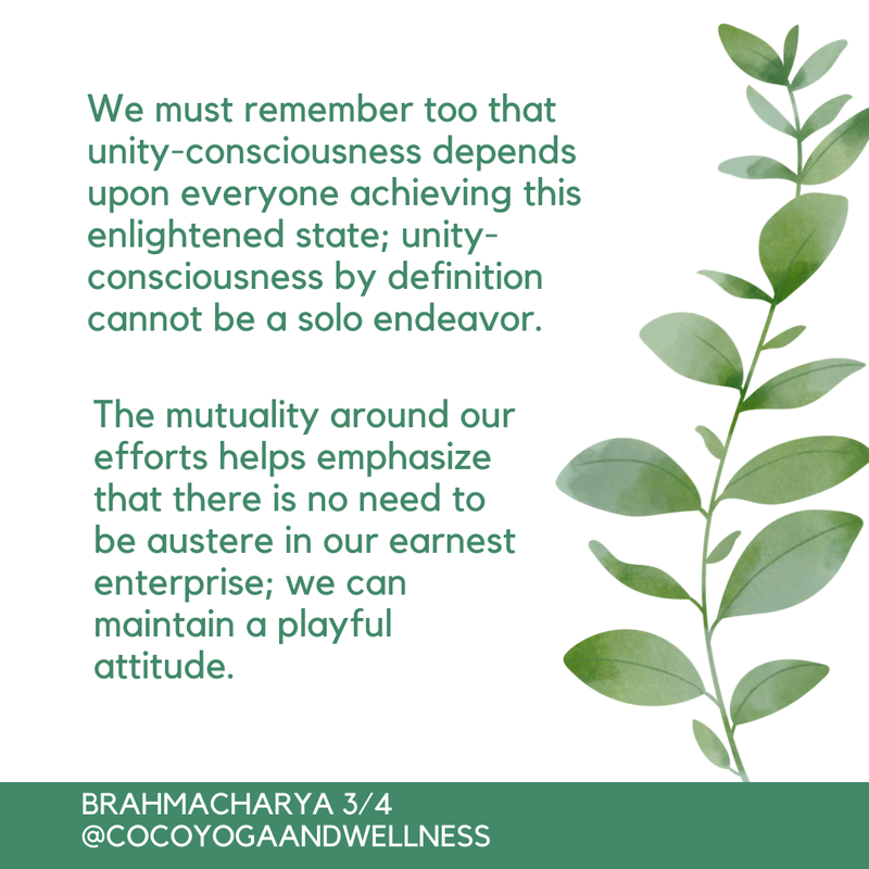 We must remember too that unity-consciousness depends upon everyone achieving this enlightened state; unity-consciousness by definition cannot be a solo endeavor.  The mutuality around our efforts helps emphasize that there is no need to be austere in our earnest enterprise; we can maintain a playful attitude.  

Coco Yoga & Wellness