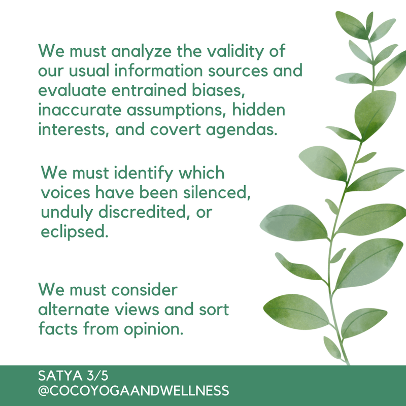  We must analyze the validity of our usual information sources and evaluate entrained biases, inaccurate assumptions, hidden interests, and covert agendas.  We must identify which voices have been silenced, unduly discredited, or eclipsed.  We must consider alternate views and sort facts from opinion.

www.cocoyogaandwellness.com
