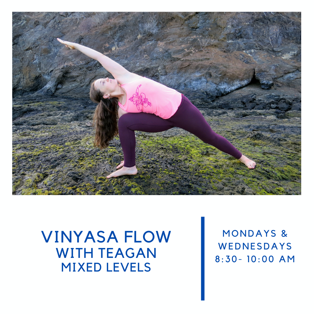 Vinyasa Flow with Teagan Coco Yoga and Wellness