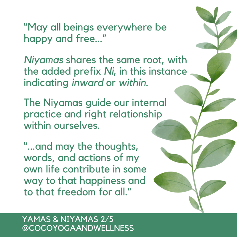  “May all beings everywhere be happy and free...”  Niyamas shares the same root, with the added prefix Ni, in this instance indicating inward or within.  The Niyamas guide our internal practice and right relationship within ourselves.  “...and may the thoughts, words, and actions of my own life contribute in some way to that happiness and to that freedom for all.”

www.cocoyogaandwellness.com